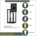 GRUENLICH Dusk to Dawn Large Outdoor Wall Lantern, PIR Motion Sensor Wall Sconce, E26 Base Max 60W, Metal Housing Plus Glass, Matte Black Finish, Bulb Not Included, 2-Pack