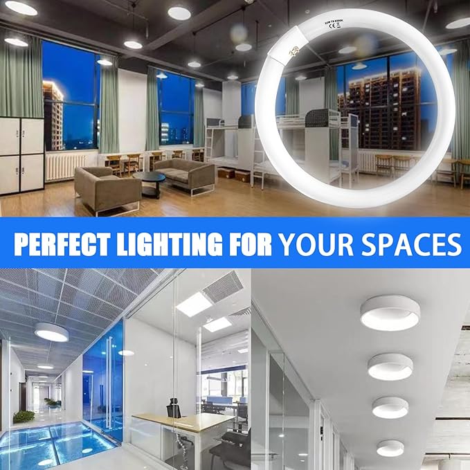 FC16T9 40 Watt and FC12T9 32W Set 6500K, 16 inch T9 40W Circline Light Bulbs, 12 inch 32W Circular Fluorescent Round Bulb CRI 80, DL 4700 Lumen G10q