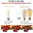 LiteHistory T45 LED Bulb,6W E26 LED Bulb Dimmable Equivalent E26 Bulb 60 Watt,Warm White 3000K E26 Edison Bulb,AC120V,600lm,CRI85,Clear Glass,Tubular Light Bulb,ETL Listed,Pack of 6