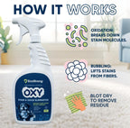 Oxy Pet Carpet Cleaner Spray | Pet Stain Remover for Pet Urine, Cat Pee, Dog Poop | Deep Spot Treating Action on Carpeting, Upholstery, Laundry, Pet Beds & More (32 Fl Oz)
