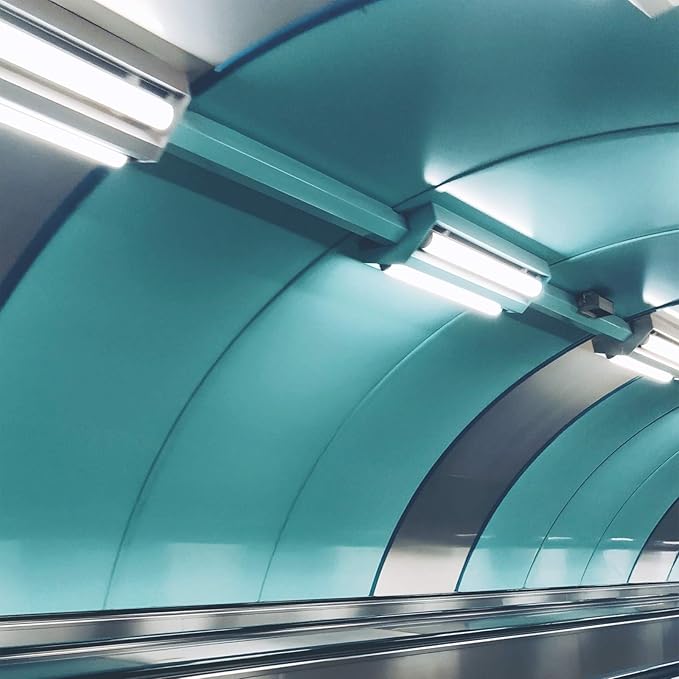 Dysmio Lighting F32T8-DL 32-Watt - 48 Inch T8 Straight Tube, Medium Bi-Pin Base, 6500K - Daylight Pack of 8