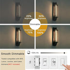 11.8IN 1000LM 2700K Soft White Light Bulbs E26 Base, T10 T9 Edison Bulbs Dimmable 8W, AC 120V 100 Watt Equal Filament Bulb, Vintage Clear Glass Long Tubular LED Bulb, UL Listed - 4Pack