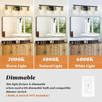 Bathroom Vanity Light, 4-Light Black and Gold Bathroom Light Fixtures with Clear Glass Shade, Bathroom Lighting Fixtures Over Mirror,Bath Black Wall Lights for Mirror Bedroom,Living Room