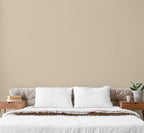 EVOLVE Paint & Primer: Environment-friendly, Low Sheen with One-coat Coverage for Interior & Exterior surfaces (Beach Beige, 1-Gallon)