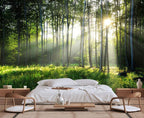 Sunshine in The Woods Mural, Large Jungle Mural, Suitable for Decorating Bedroom, Living Room, Bath Room Background Wall(Non-self-Adhesive)