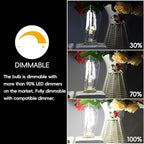 Jensense Edison LED Light Bulbs 8Watt Dimmable Light Bulbs 5000K Daylight White, E26 LED Bulb 60watt Equivalent,Vintage Bulbs 800lm CRI 90 Clear Glass 1 Packs