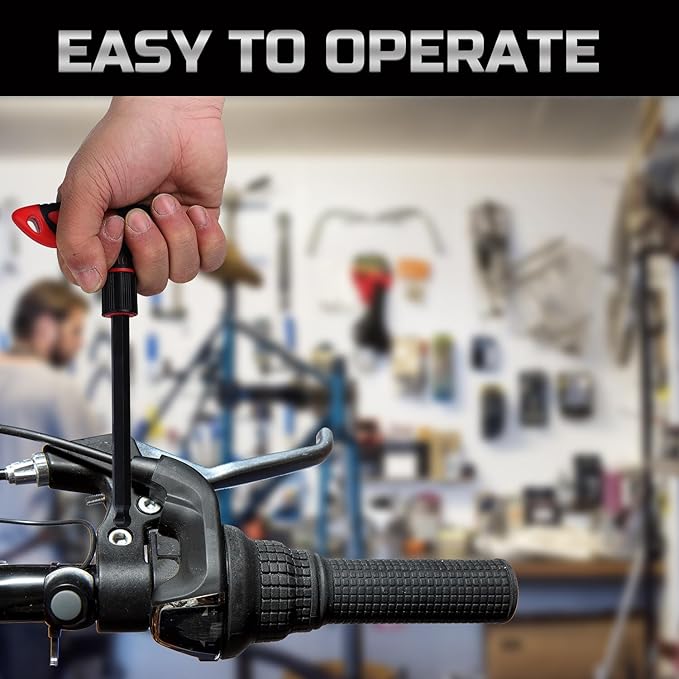 Lichamp 16 Pieces SAE and Metric T Handle Allen Wrench Set, 5/64-3/8 inch, 2-10mm, Ball Head, Standard Long Tee Handle Allen Hex Key Set, Heavy Duty Excellent