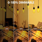 E26 LED Bulbs， 4W Equivalent 40 watt,Vintage Edison Bulbs, Warm White 2700K Amber E26 Edison Bulbs dimmable, Tubular T45 LED Light Bulb, AC120V, 400lm, CR90+,Gold Glass, Pack of 4
