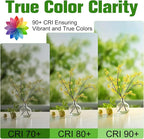 E26 Base LED Candelabra Light Bulbs 2700K Soft White, 6W, 60 watt Equivalent, E26 LED Bulb, B10 Chandelier Candle Light Bulbs, Non-Dimmable, 90+CRI, 600LM, Cear Glass, 12 Pack