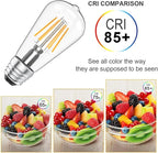 Ralbay ST48 Vintage LED Edison Bulbs 10 Pack, 60W Equivalent, Warm White 2700K, Clear Glass E26 Medium Base