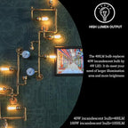 LUXON Edison Bulbs,Antique Vintage Style Incandescent Light Bulbs,Dimmable Amber Warm,60W E26 Base for Wall Sconce Pack of 2