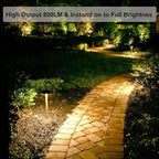 Vinaco MR16 Bulb，6 Pack MR16 Halogen Bulb 50W GU5.3 Base, 800LM High Output MR16 12V 50W Halogen, 2800K Warm White MR 16 Dimmable with Clear Glass Cover, MR 16 GU5.3 for Landscape, Track Lights