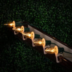 Novelty Lights 500 Case C9 Outdoor Christmas Replacement Bulbs, Clear, E17/C9 Intermediate Base, 7 Watt