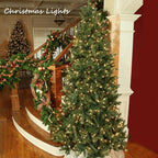 Abeja 25 Pack C9 Incandescent Replacement Bulb C9 Christmas Light Bulb for Holiday Party Christmas Decorative String Light E17 Intermediate Base 7w Clear Bulb