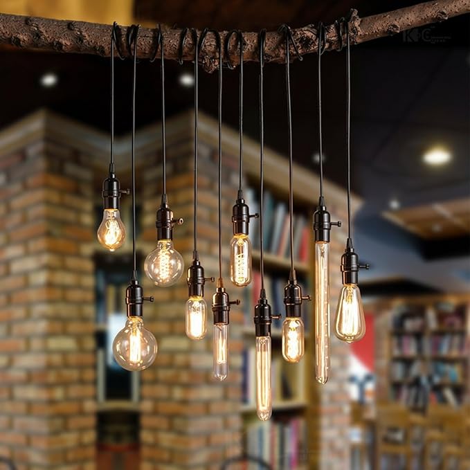 GOENDR E26 40W Edison Bulbs, ST64 Vintage Incandescent Light Bulbs, 2700K Warm Dimmable, Squirrel Cage Filament Bulb for Table Lamp Home Antique Decorative, 4 Pack