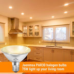 Par30 Short Neck Halogen Flood Bulbs 75W 120V, Par30 Halogen Indoor Floodlight Bulbs Outdoor E26 Dimmable 2700K Bulb 2 Pack for 5-6in Recessed/Ceiling Can/Accent/Tracking Lights