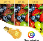 HESSION A19 Vintage LED Edison Bulbs, 4W Equivalent 40W Dimmable LED Bulbs, 400 Lumens 2300K Amber Warm Light Bulbs, E26 Base Decorative Antique Spiral A19 Light Bulb for Light Fixture, Pack of 4