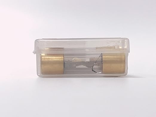 100A AGU Fuse 100 Amp Gold Plated Glass Inline Automobile Audio Fuses for Car Auto Stereo Amplifier Safety Power Protection 12V (Pack of 5 Pcs)