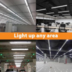 F15T8/DL 18 Inches T8 15 Watt Fluorescent Tube Compatible for Sylvania GE Eiko F15/T8/D Daylight 6500K G13 Bi-Pin Base 6 Count