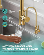 Kitchen Faucet and Water Filter Faucet: Brushed Gold Kitchen Sink Faucet with Drinking Water Faucet - Stainless Steel Single Handle Tap with Pull Down Sprayer for Kitchen Sink Farmhouse Bar