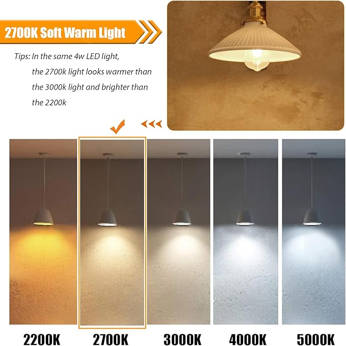 16 Pack LED Edison Bulbs 40W Equivalent, 4 Watt LED Filament Bulb, 2700K Soft Warm ST19 Light Bulb, 450LM E26 Vintage Bulbs for Ceiling Light Fixtures, Non-dim