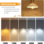 16 Pack LED Edison Bulbs 40W Equivalent, 4 Watt LED Filament Bulb, 2700K Soft Warm ST19 Light Bulb, 450LM E26 Vintage Bulbs for Ceiling Light Fixtures, Non-dim