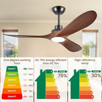 52" Ceiling Fans with Lights, Low Profile Modern Ceiling Fan with Remote Control, DC Motor, Reversible, 3CCT, Dimmable, Noiseless, Indoor Outdoor Ceiling Fans for Bedroom, Living Room, Dining Room