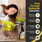 Flitz Stainless Steel & Chrome Clean - 16oz Bottle, USA-Made Stainless Steel Cleaner Spray for Appliances - Grill, Fridge, Sink Stain Remover - Also Works on Aluminum Surfaces (12 Pack)