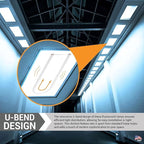 Diodesy- U-Bend T8 Fluorescent Tube Light Bulb 32W 3000 Lumens 3000K Soft White G13 Miniature Bi-Pin Base Rohs Compliant Pack of 12- U Shaped Linear Replacement Lamp