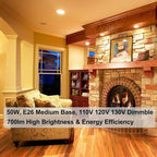 Vinaco Par20 Bulb 50 Watt 2 Pack, High Output Halogen 50W Floodlight, Warm White 3000K Dimmable E26, Long Lasting for Track and Recessed Lighting