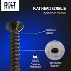 Bolt Dropper No. 8 x 3/4" Xylan Coated Stainless Flat Head Phillips - Wood Screw (100 pc) 18-8 S/S Black