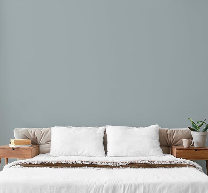 EVOLVE Paint & Primer: Environment-friendly, Low Sheen with One-coat Coverage for Interior & Exterior surfaces (Pebble Gray, 1-Gallon)