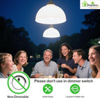 Depuley LED Light Bulbs E12: 6-Pack Candelabra Candle Light Bulb 4W Equivalent 40W - Edison Vintage Bulbs Daylight 5000K C35 Clear Bulb 500 LM 80+CRI Non-Dimmable