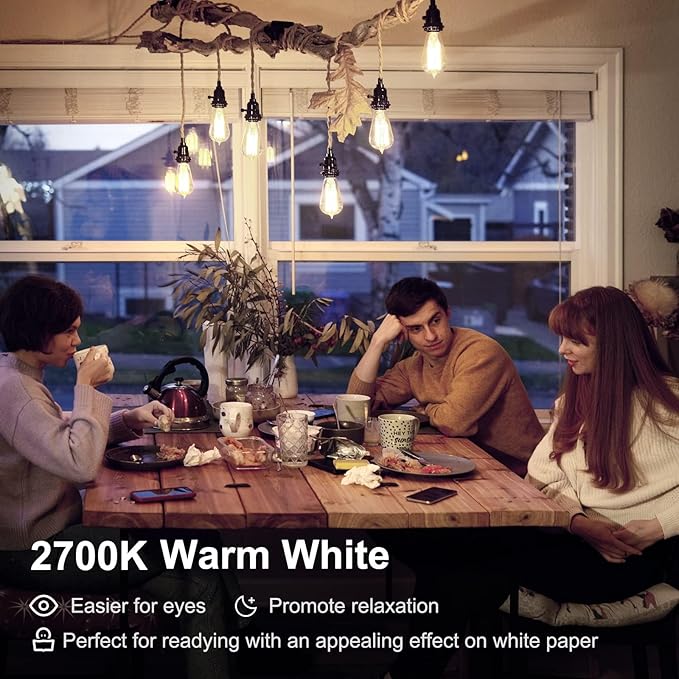 TJOY Edison Light Bulbs, 12 Pack Dimmable Vintage LED Light Bulbs, E26 Medium Base, Warm White 2700K, ST58, 6W, 800LM, 80+ CRI, Antique Decorative LED Filament, Clear Glass