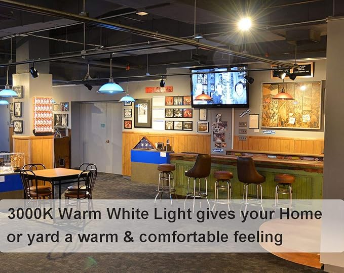 Vinaco PAR30 Long Neck Halogen 39W 120V (PAR30 50W Equivalent), Long Lasting 6 Pack PAR30L Flood Light Bulb, PAR30 Dimmable, High Output 500LM with PAR30 E26 Warm White 2800K Indoor Outdoor PAR30LN