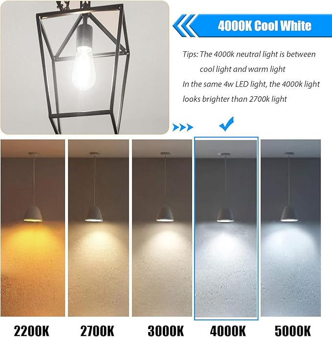 16 Pack LED Edison Bulbs 40W Equivalent, Not-dimmable 4 Watt LED Filament Bulb, 4000K Cool White ST19 Light Bulb, 450LM E26 Vintage Bulbs for Ceiling Light Fixtures