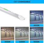 4FT T8 LED Tube Light, Type A+B, 12W/15W/18W/22W, 3000K | 4000K | 5000K | 6500K, Single and Double End Powered, Plug and Play or Ballast Bypass, 2860 Lumens, F32T8, 120-277V, Frosted Cover (12 Pack)