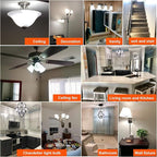 LiteHistory Dimmable e12 led Bulb g16.5 led Light Bulbs g16 Candelabra Bulbs 4W=40W Edison Bulb Daylight 5000K 400lm ac120v g50 Globe Light Bulbs for Chandelier,Vanity,Ceiling Fan Light Bulbs 6Pack