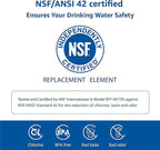 Waterspecialist Replacement for GE® RPWFE®, RPWF (Built-in CHIP) Refrigerator Water Filter, Compatible with GYS22GMNES, GYE22HSKSS, PYE22PELDS, GFE26GMKES, GFE28GYNFS, PFE28KYNFS, 2 Filters
