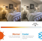 Dimmable Edison Bulbs, 4.5W Equivalent to 40W Vintage Light Bulbs, E26 Base 4000K ST58/ST19 LED Bulbs, Antique Flexible Spiral Filament Light Bulbs - Clear Plastic 12Pack