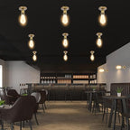 E26/E27 Screw Head Light Socket 100-240V Vintage Ceiling Light Wall Lamp Bulb Holder Socket for Hallway,Kitchen,Basement,Garage,Bar,Restaurant (Gold)