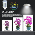 HJFF Corn Light Bulb 500W Equivalent Led Bulb 8750Lumen 60W 6000K Cool Daylight White E26/E27 Medium Base Led Corn Bulb for Outdoor Indoor Garage Warehouse Backyard Factory Workshop Street