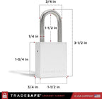 TRADESAFE Lockout Tagout Locks Set - 10 Silver Aluminum Loto Locks, Lock Out Tag Out Padlocks Keyed Alike, 2 Keys Per Lockout Padlock, OSHA Compliant
