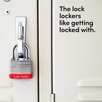 Lion Locks 24 Keyed-Alike Padlocks w/ 1.25” Shackle, 48 Keys, Hardened Steel Case, Brass Cylinder (24-Pack) - for Hasp Latch, Sheds, Fences, Storage Locker, School, Gym