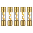 60A AGU Fuse 60 Amp Gold Plated Glass Inline Automobile Audio Fuses for Car Auto Stereo Amplifier Safety Power Protection 12V (Pack of 5 Pcs)