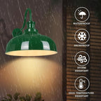 Outdoor Gooseneck Barn Light, 14 Inch Dome Rustic Outdoor Wall Sconce, Farmhouse Exterior Wall Mount Lighting Fixture, Industrial Green Wall Lantern for Porch, Entryway, Garage, RZ007M GR+WH
