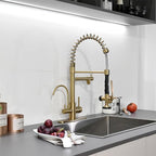 Fapully Brushed Gold Commercial Kitchen Faucet with Pull Down Sprayer and Water Filter,3 in 1 Kitchen Faucets with Drinking Water Faucet