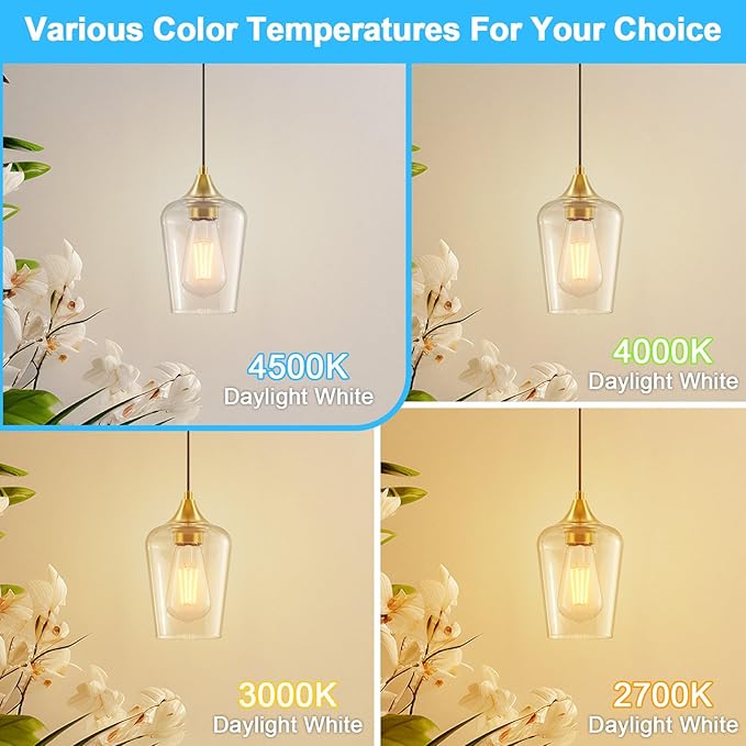 Ralbay ST64 Vintage LED Edison Bulbs 60 Watt Equivalent 6-Pack, Bright Natural White Light 4500K, E26 Antique LED Filament Bulbs, E26 Medium Base