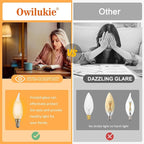 Chandelier Frosted Light Bulbs 2W Equivalent 25W Incandescent Bulb, Candelabra Candle E12 LED Bulb Type B Soft Warm White 2700K, Dimmable for Dining Room,Light Fixture,Chandelier,12 Pack