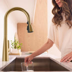 American Standard 104881GN00 Aspirations Single-Hole Kitchen Sink Faucet with Pull-Down Sprayer, 1.8 GPM, Brushed Gold